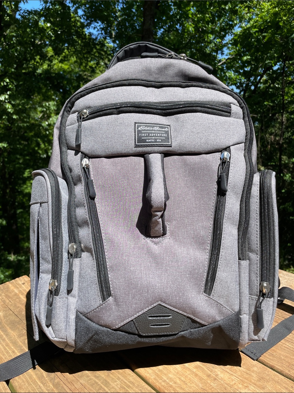 EDDIE BAUER FIRST ADVENTURE INSULATED PADDED BACKPACK